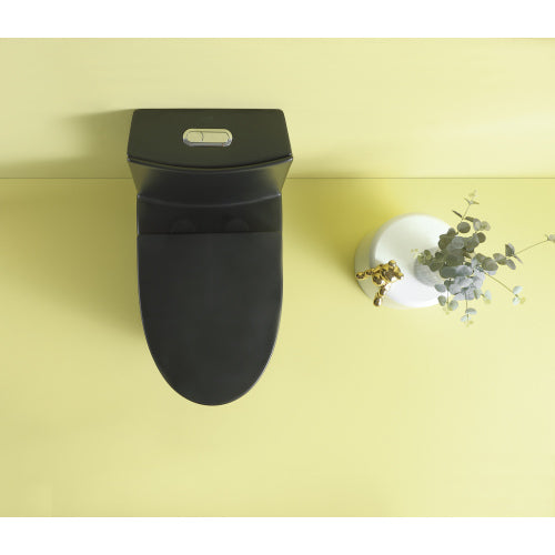 Dual Flush 1-Piece Elongated Toilet with Soft-Close Seat - Matte Black