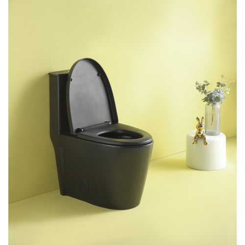 Dual Flush 1-Piece Elongated Toilet with Soft-Close Seat - Matte Black