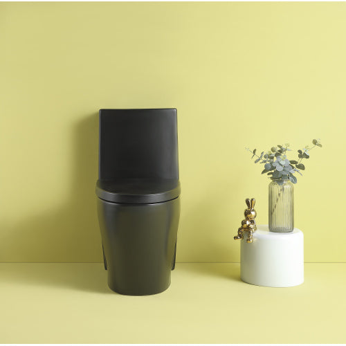 Dual Flush 1-Piece Elongated Toilet with Soft-Close Seat - Matte Black
