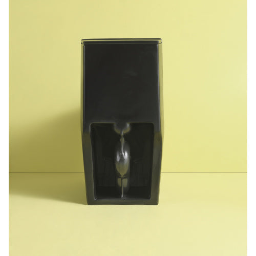 Dual Flush 1-Piece Elongated Toilet with Soft-Close Seat - Matte Black