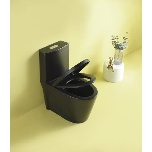 Dual Flush 1-Piece Elongated Toilet with Soft-Close Seat - Matte Black
