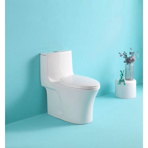 Dual Flush 1-Piece Elongated Toilet with Soft-Close Seat - Gloss White