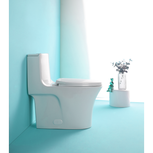 Dual Flush 1-Piece Elongated Toilet with Soft-Close Seat - Gloss White