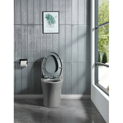 Dual Flush 1-Piece Elongated Toilet with Soft-Close Seat - Light Grey -15 1/8 Inch 1.1/1.6 GPF